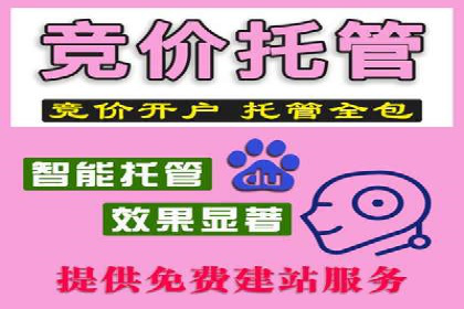 竞价代运营的技巧与策略：一则教育行业的成功案例